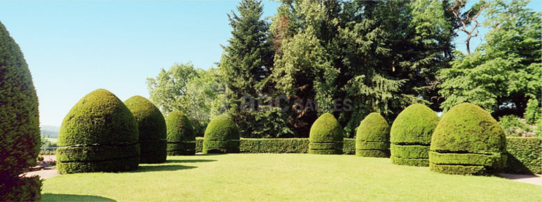 Le jardin à la francaise