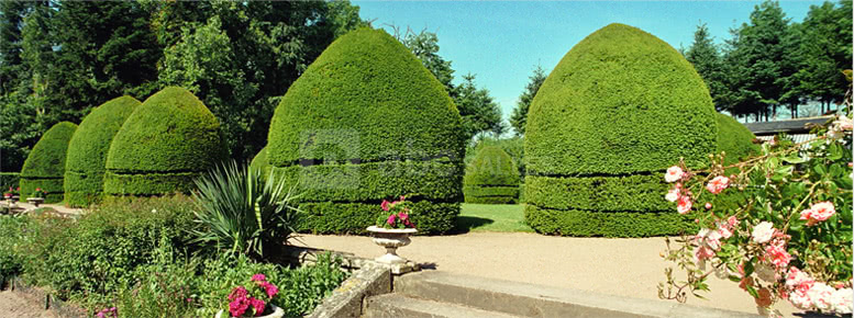 Le jardin à la francaise