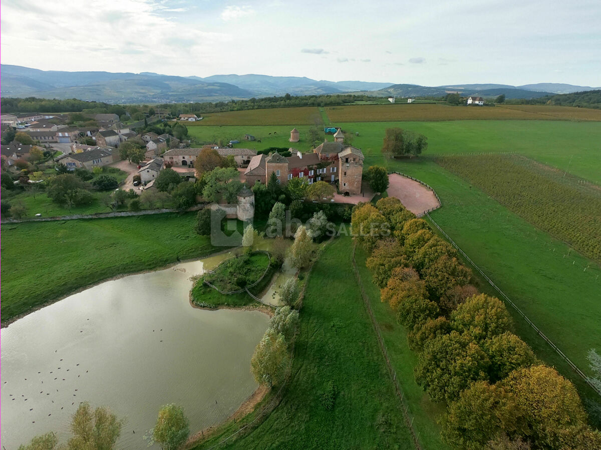 Le domaine