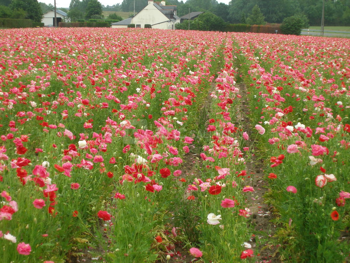 La nature est si belle,,,,,,,