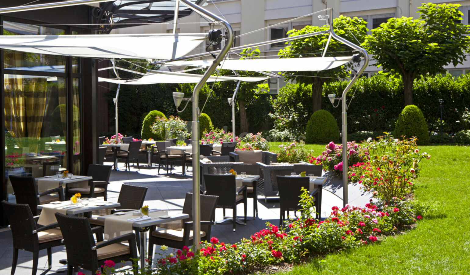 Warwick Reine Astrid