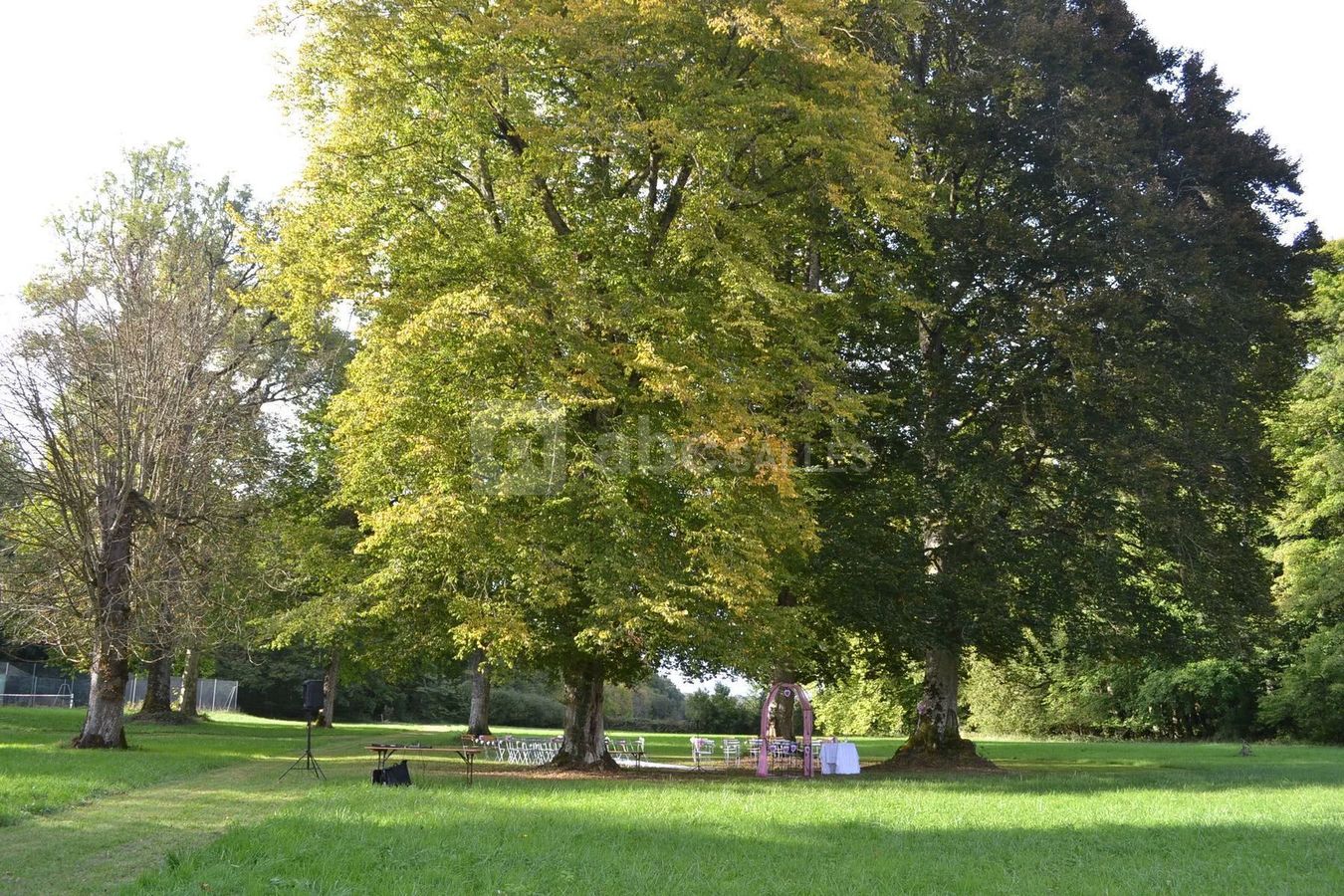 La cérémonie laïque dans le parc du château