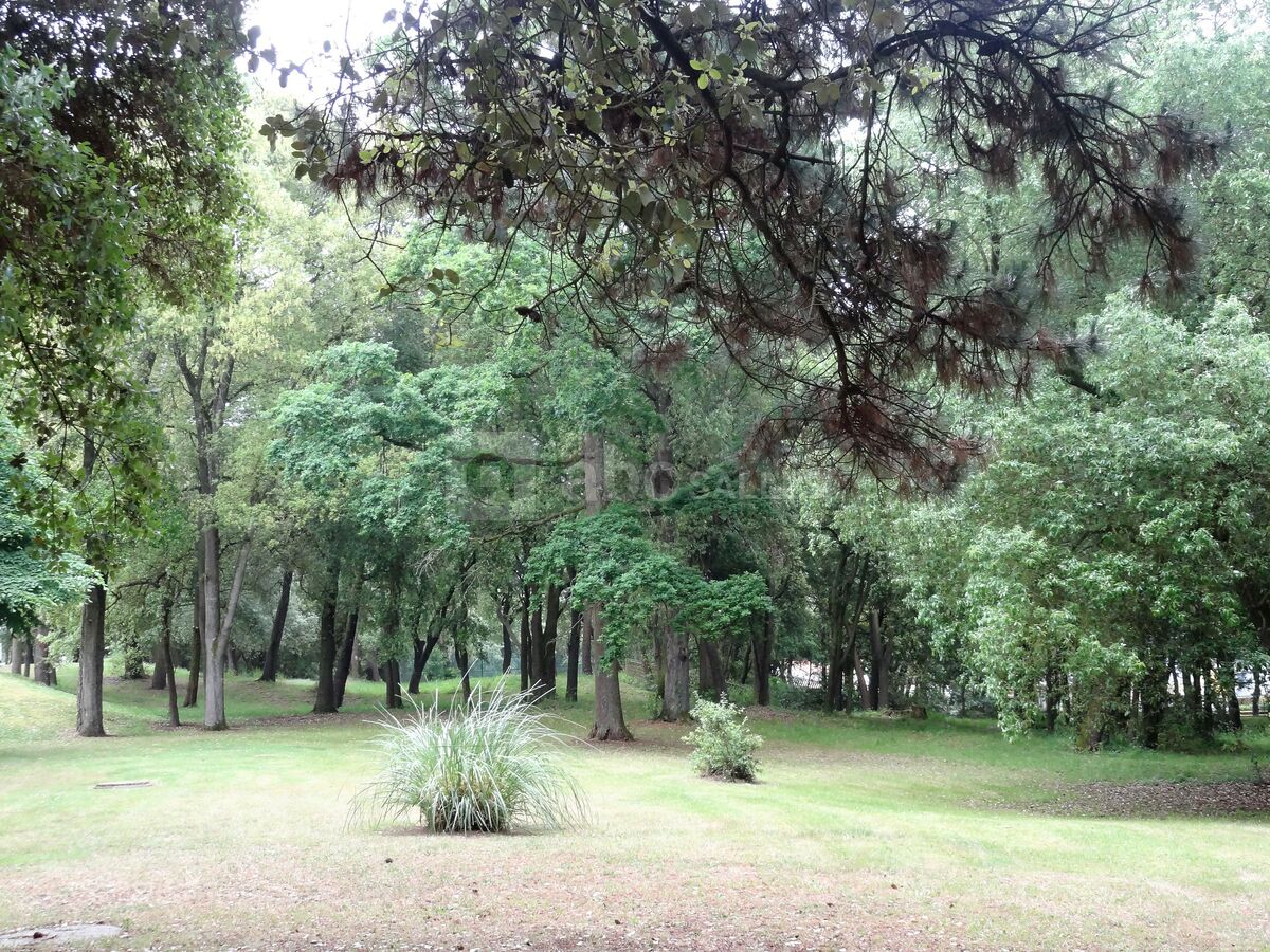 Parc boisé