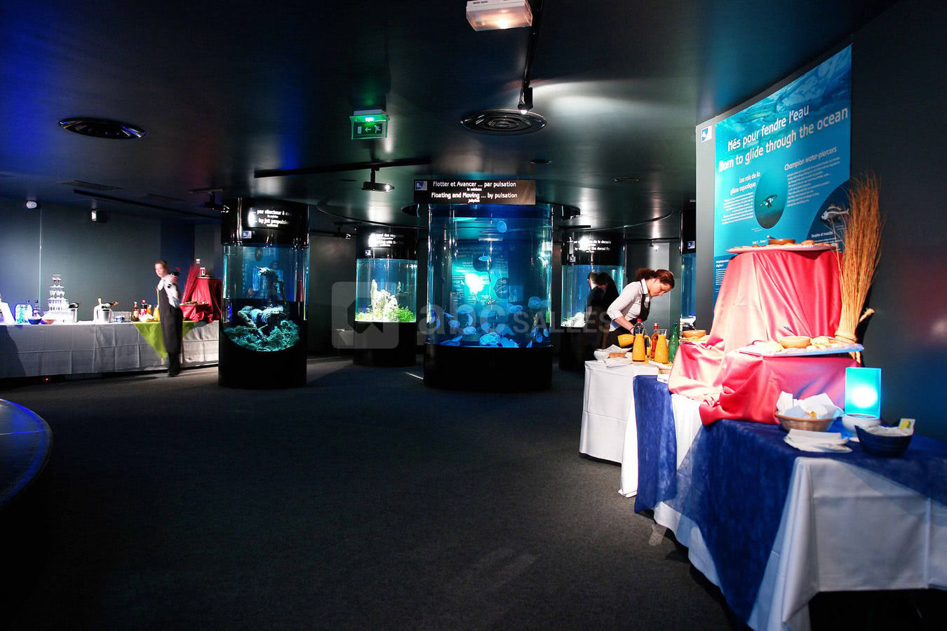Aquariums