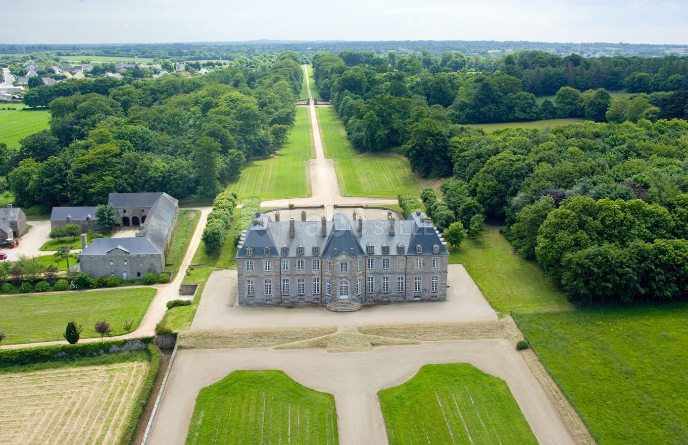 La perspective et l'environnement boisé