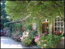 Le manoir de la forêt