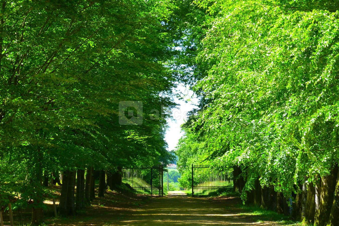 Château de Salvanet