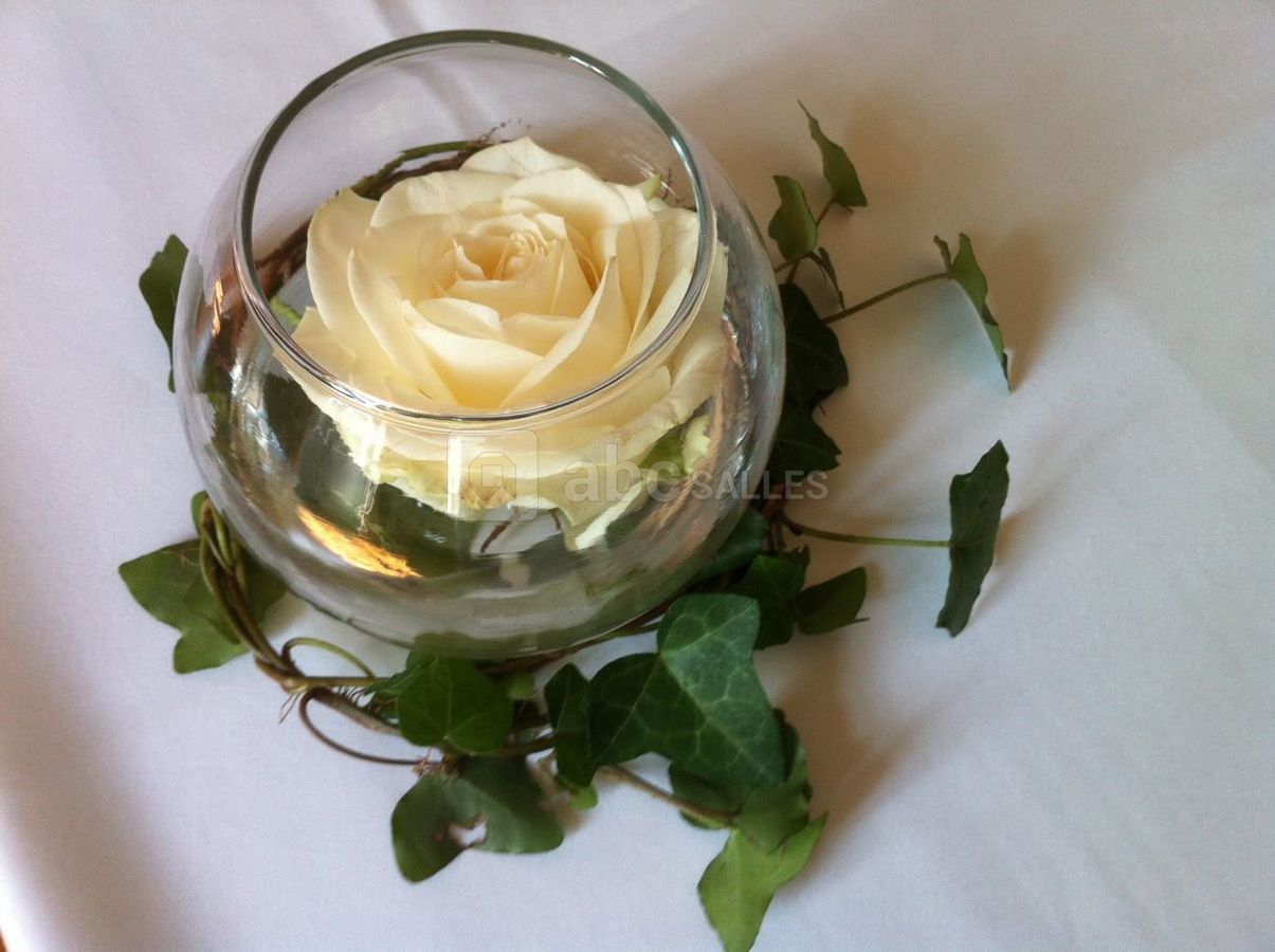 Château de Salvanet