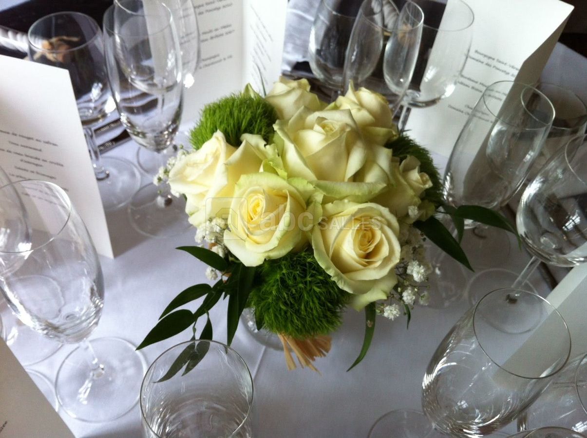 Château de Salvanet