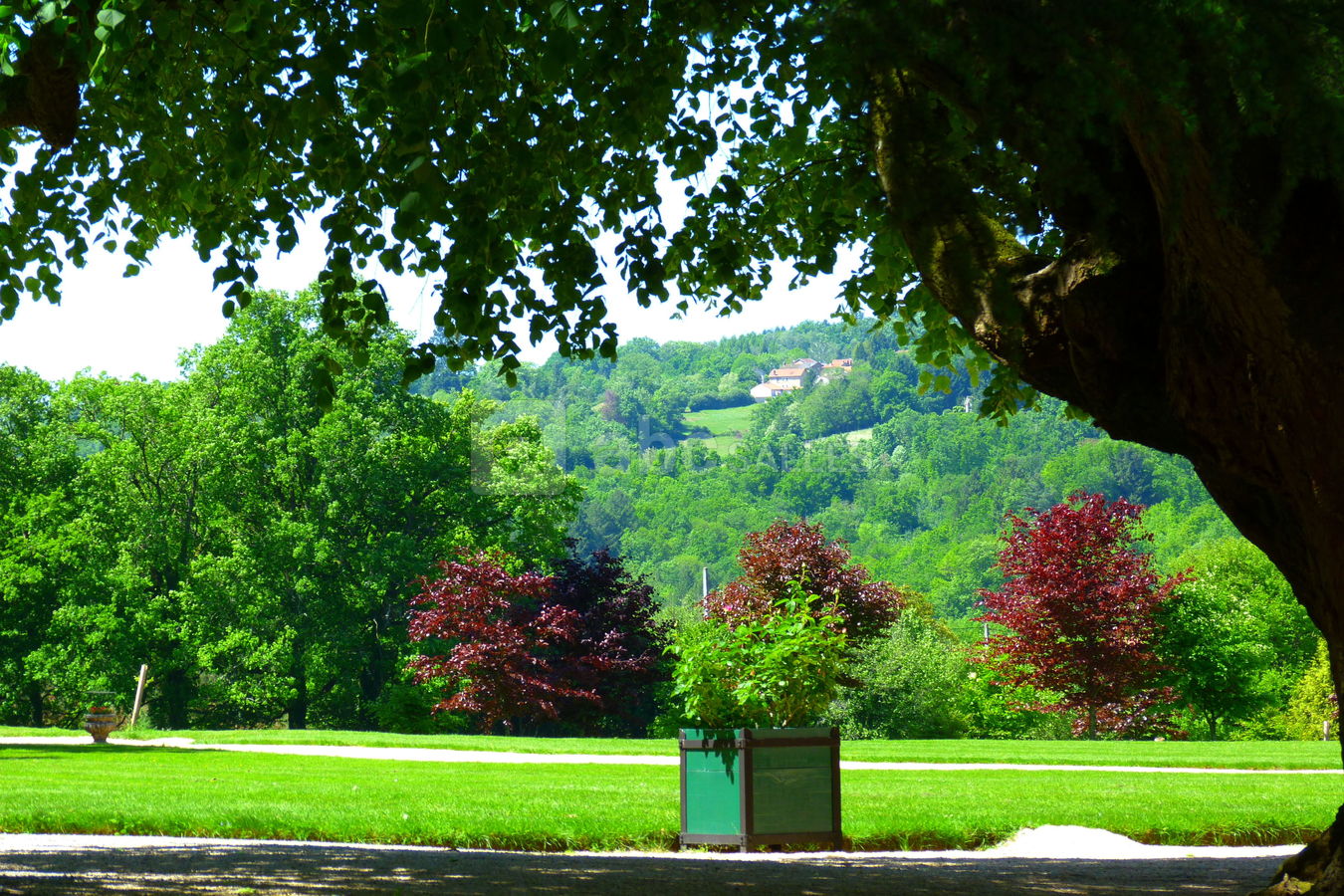 Château de Salvanet