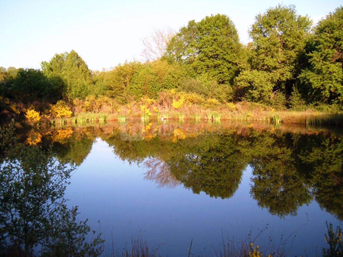 Notre Lagunage