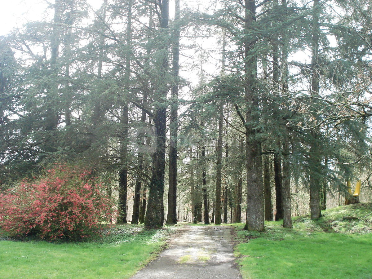 Au coeur du parc