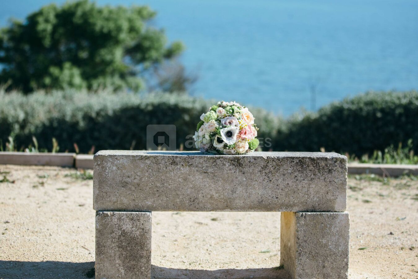 Point de vue banc