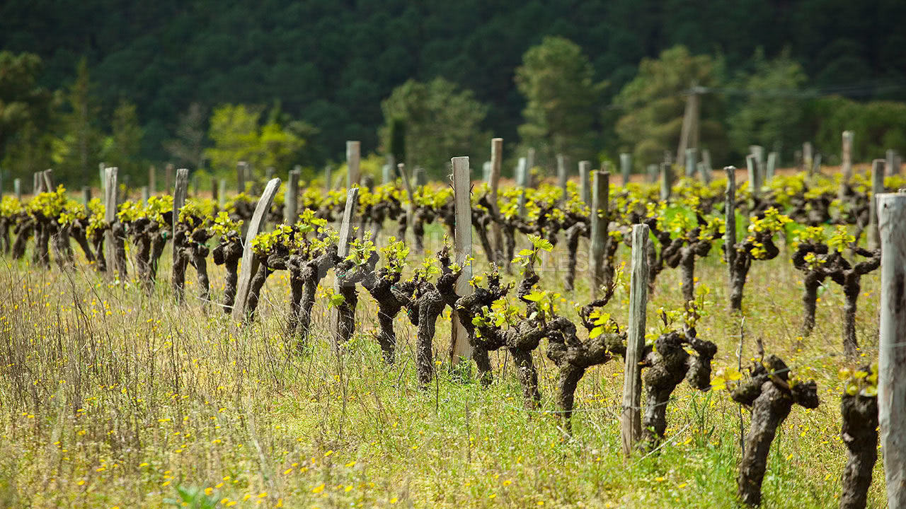 La Bastide de Sanilhac