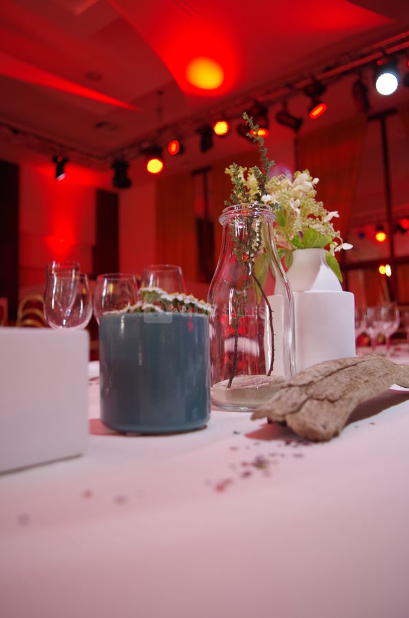 Salle de Gala en lumière