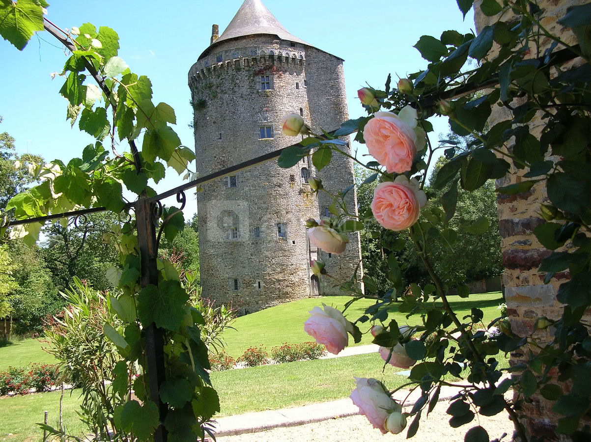 La Tour - Grand Fougeray - Vue d'ensemble / Environnement extérieur