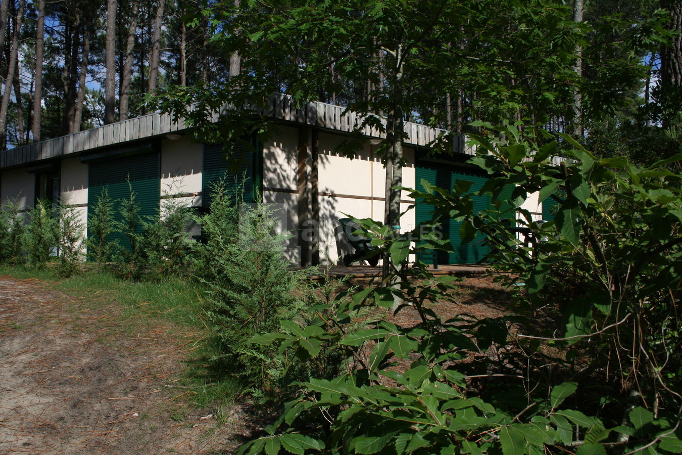 Bungalow