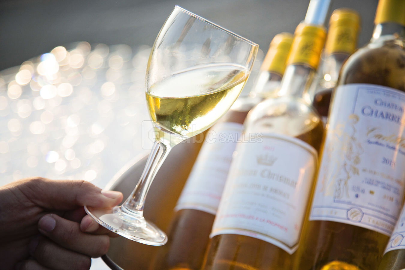 Dégustation de vins