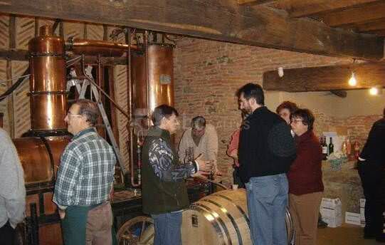 Incentives : dégustation de vins