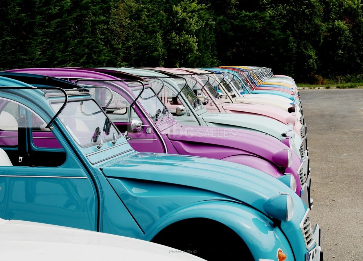 Animation 2 CV