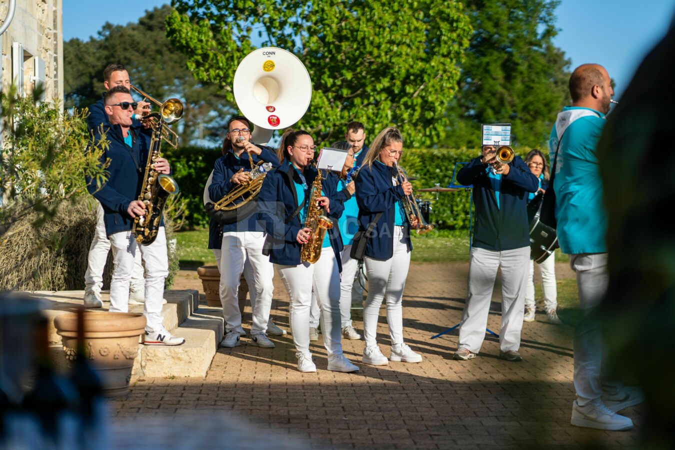 Bandas