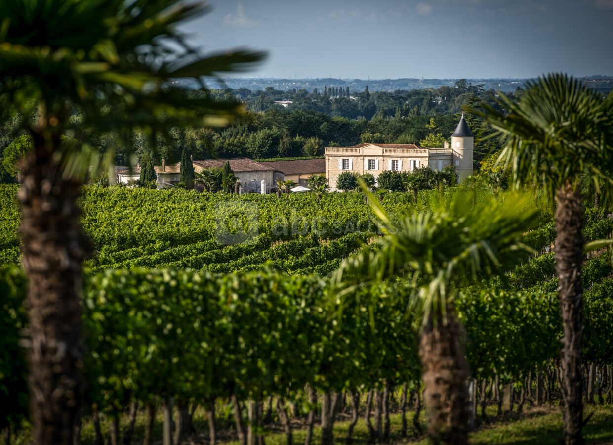 Vignoble