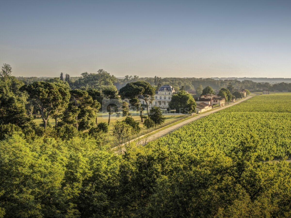 Vue du ciel - Giscours