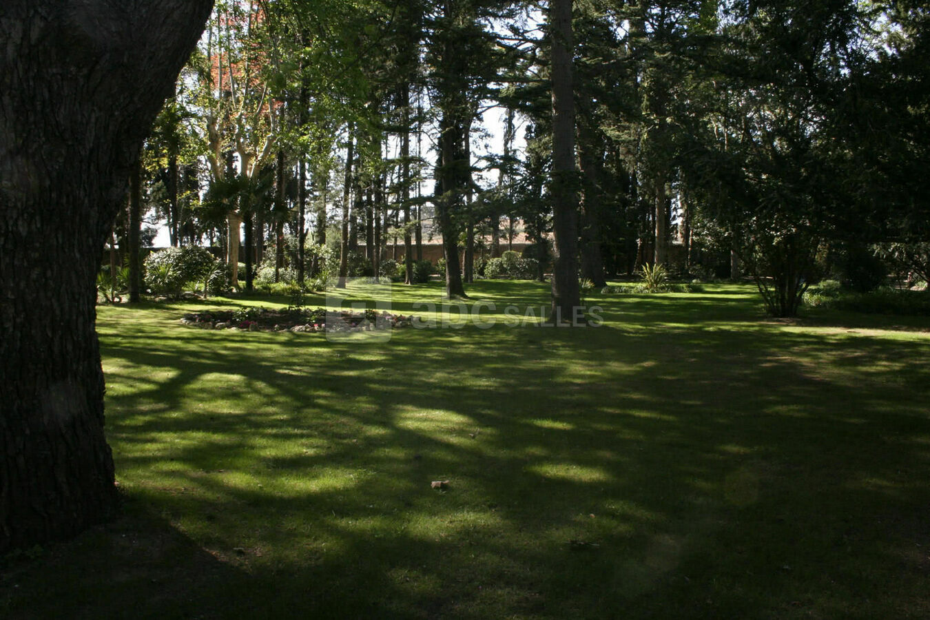 Le parc du château, un havre de paix et un cadre magique pour les photos de mariage