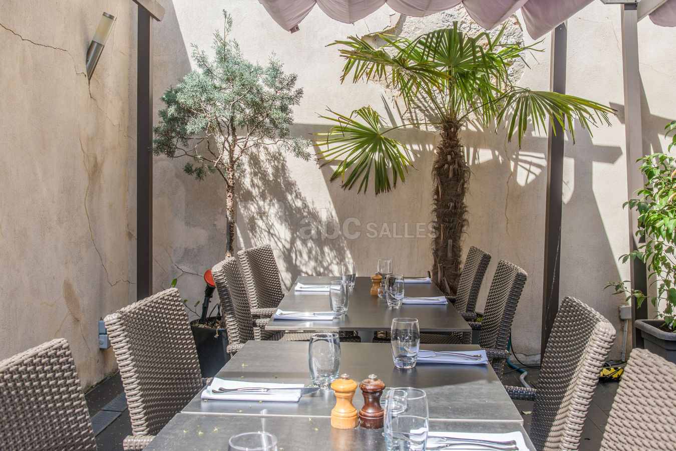 TERRASSE RDC