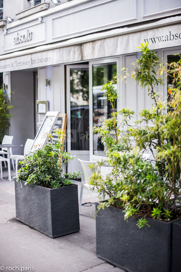 Terrasse Avenue de Paris