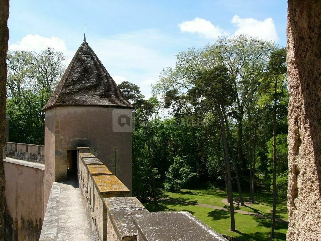 Château d'Ainay-le-Vieil