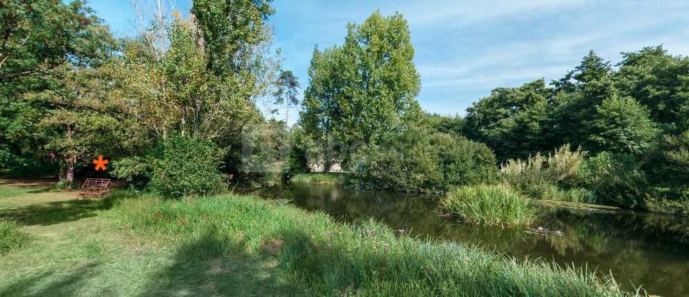 MAGNIFIQUE domaine arboré, vallonné, autour d'un étang, 13 ha de pleine nature,