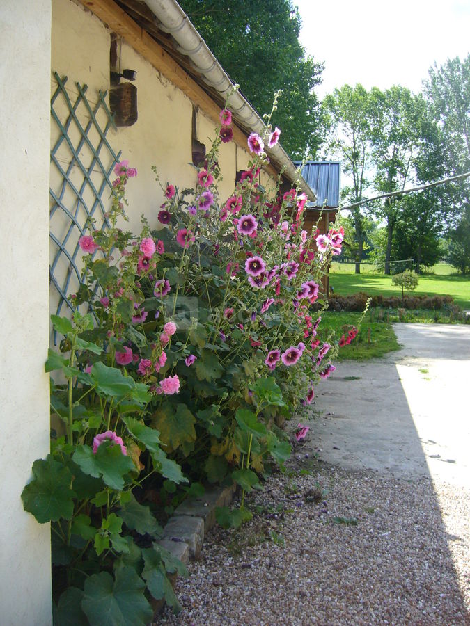 Jardins