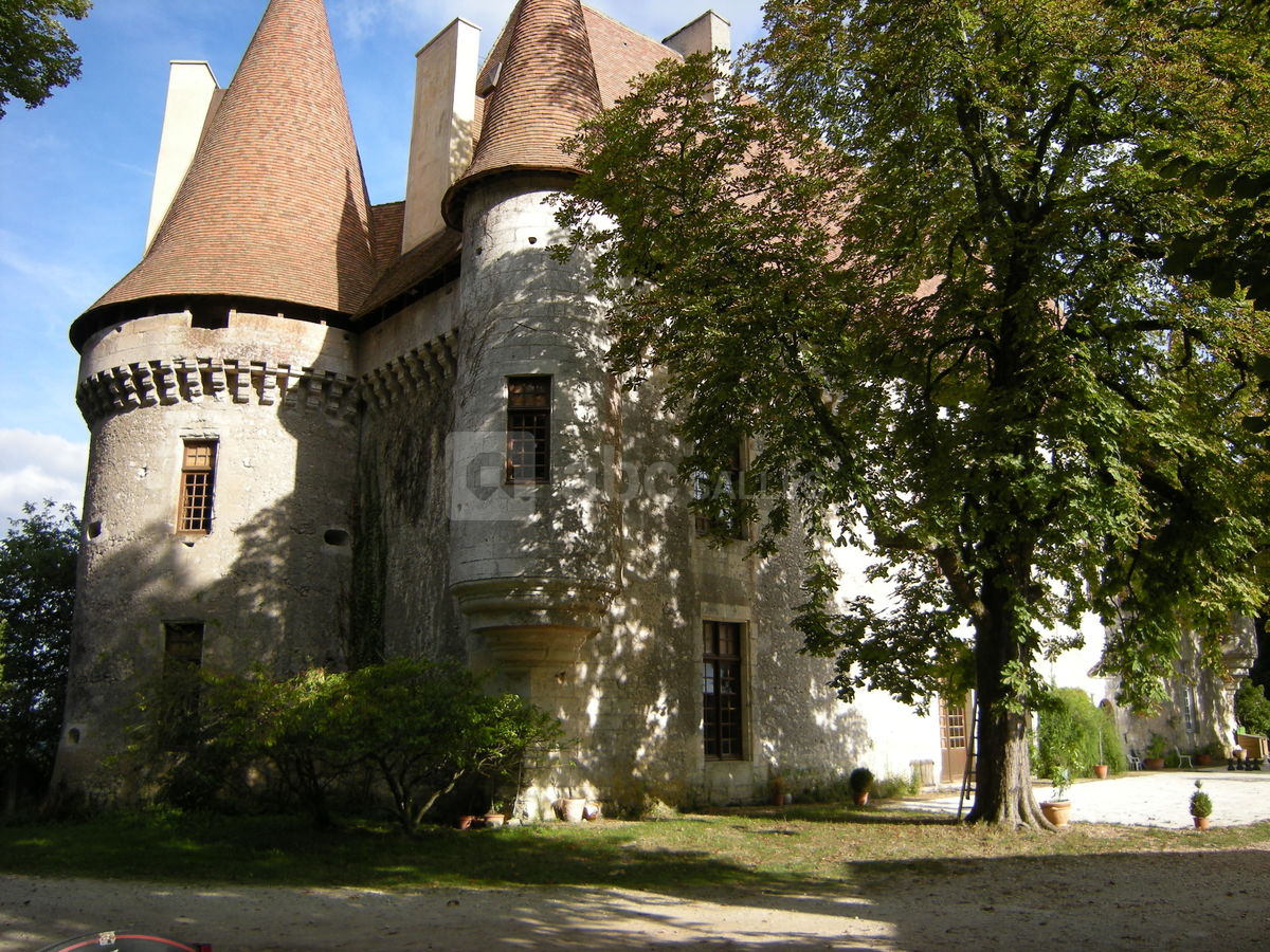 Carte postale