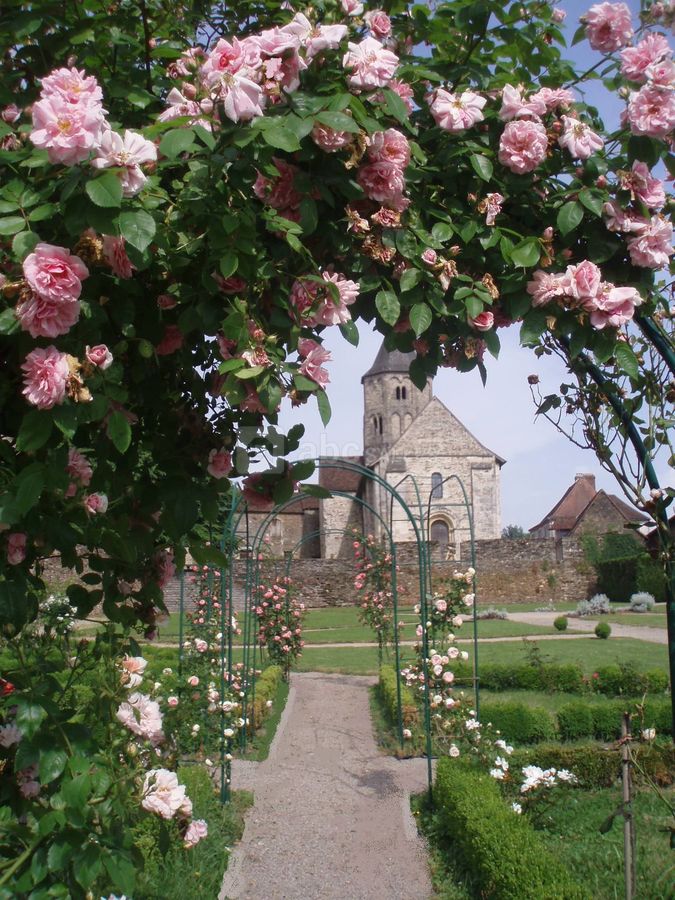 L'église vue de la roseraie.