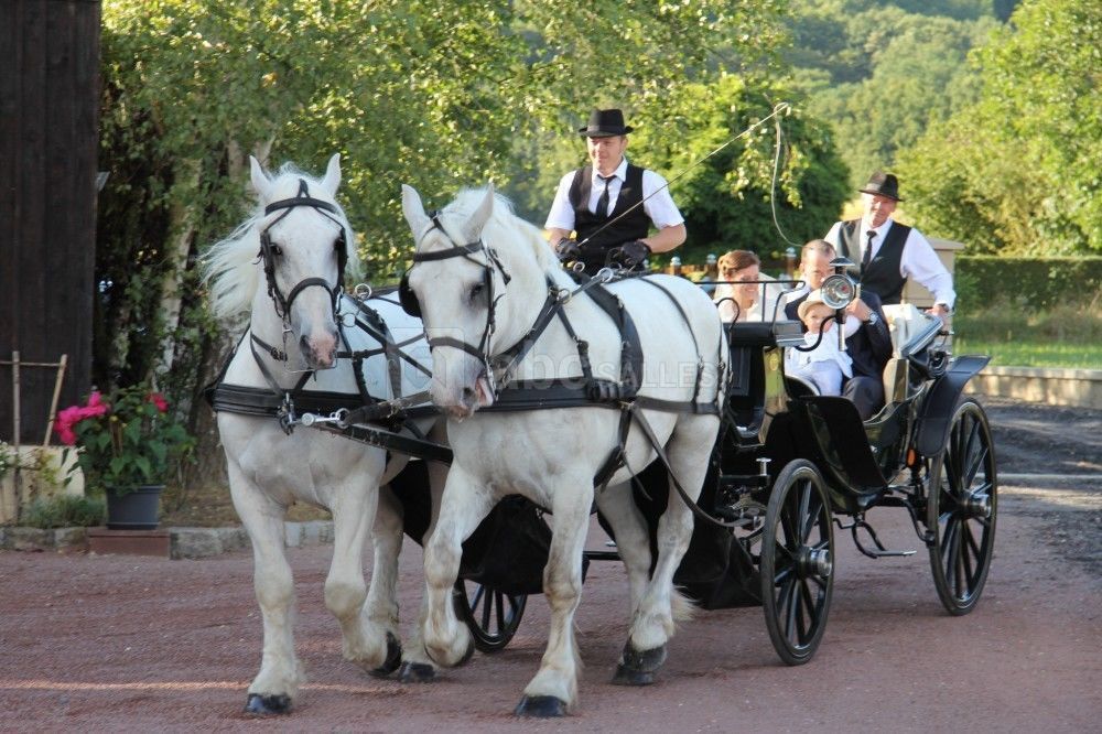 Arrivé des mariés en Victoria