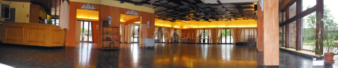 Salon tournesol (en cas de pluie a l'apéritif)