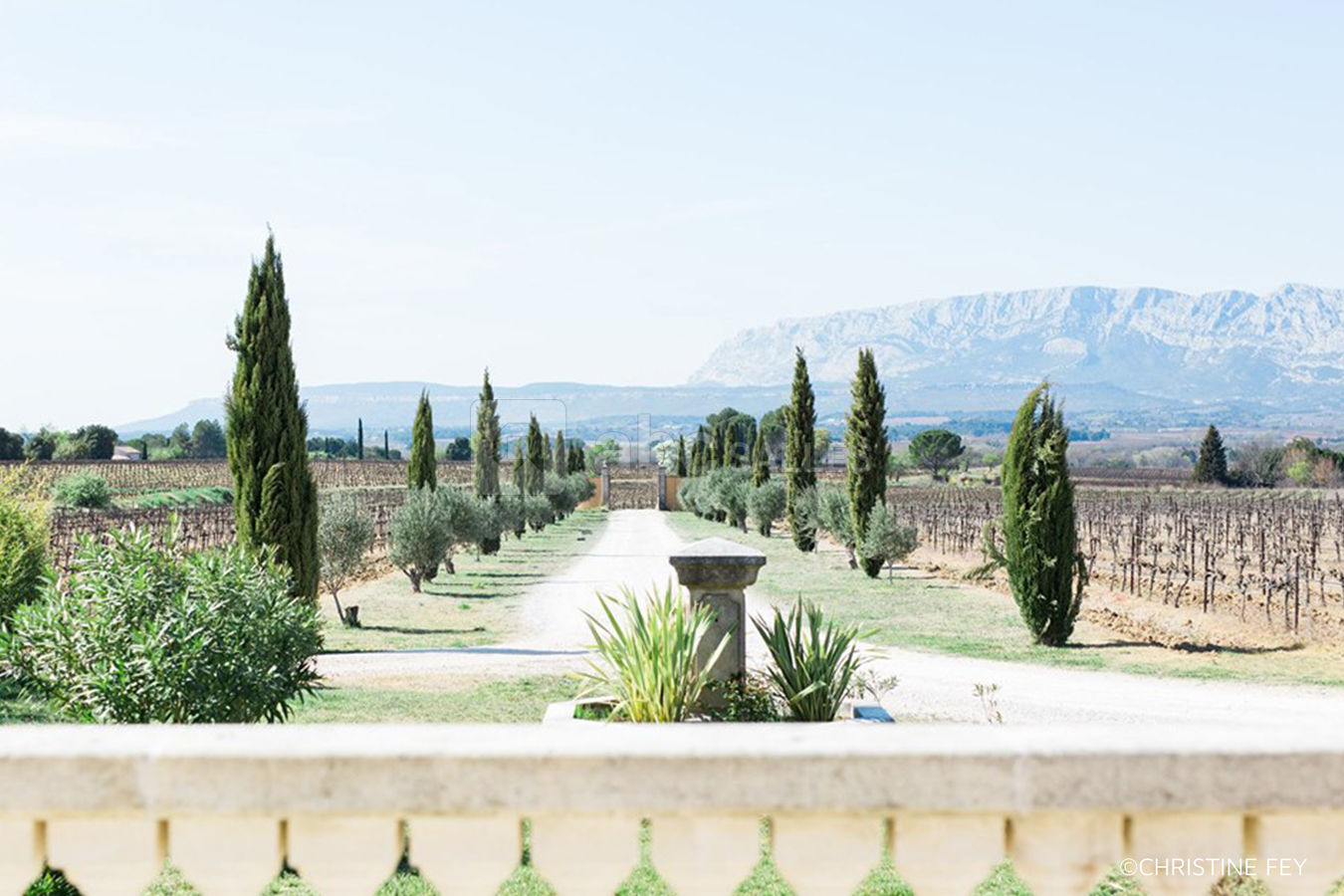 Le Mas des Auréliens - Vue sur la montagne Sainte-Victoire