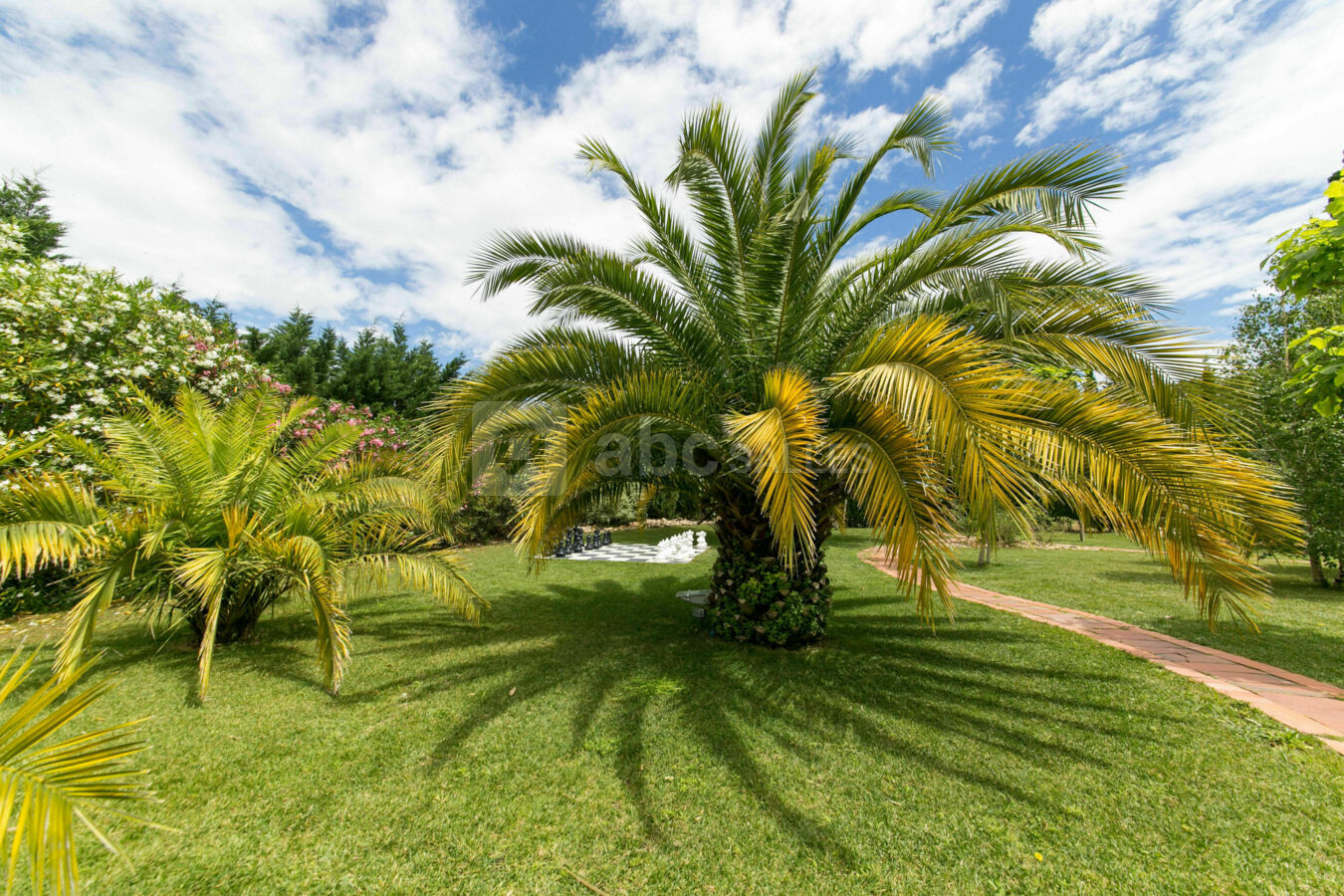Le jardin
