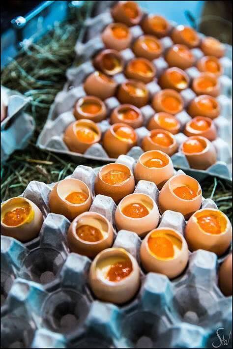 Oeuf sans oeuf
