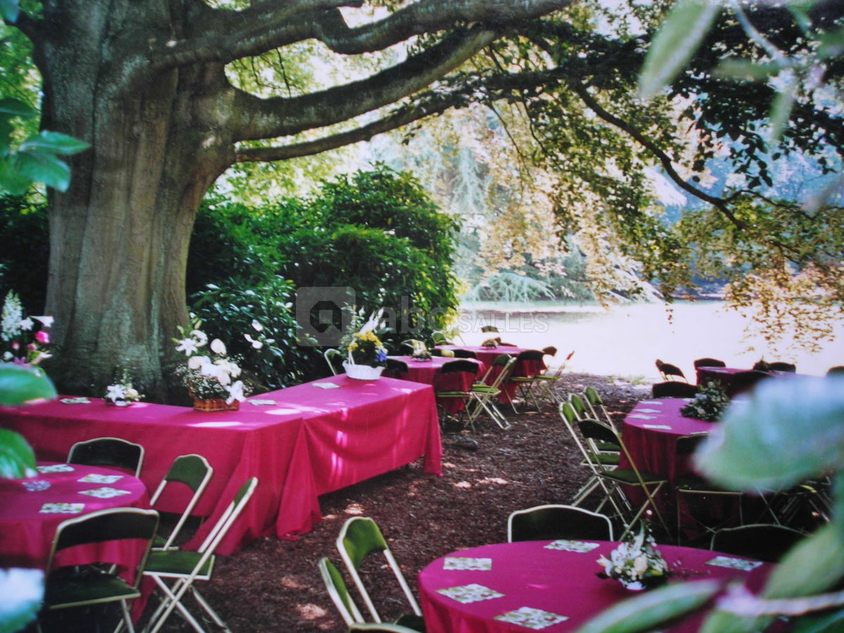 Brunch sous les arbres