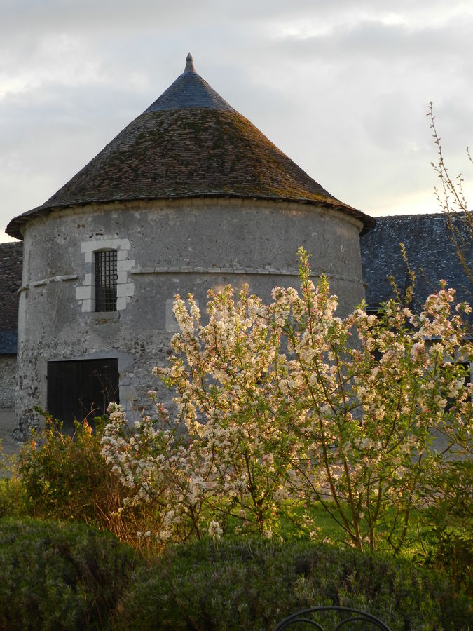 Le pigeonnier