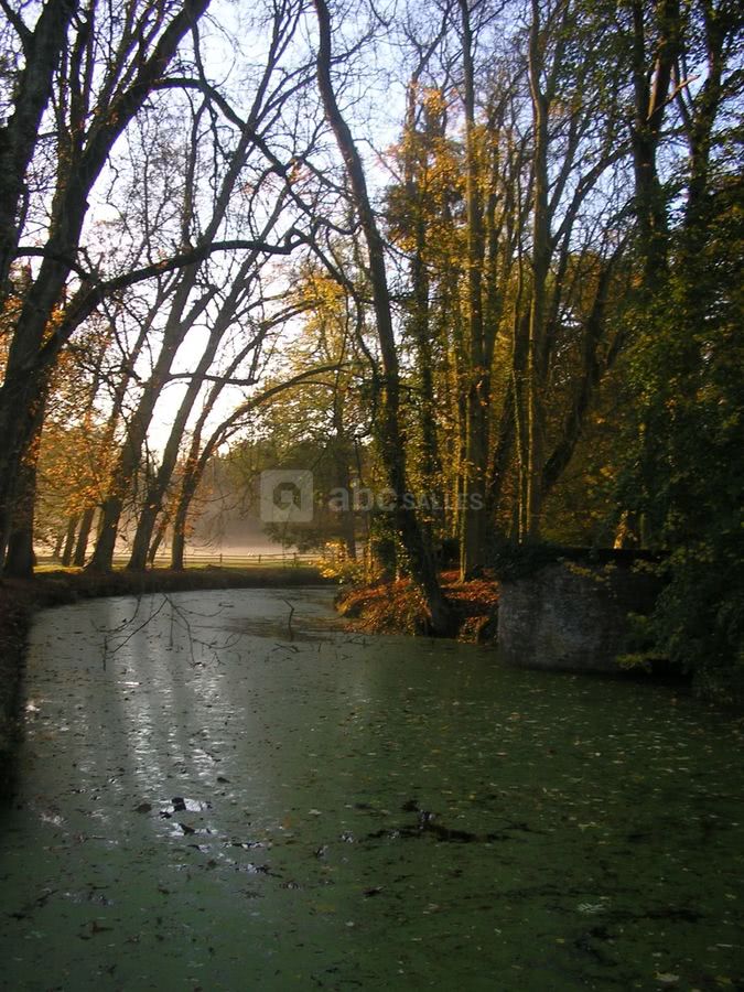 Promenade dans le parc