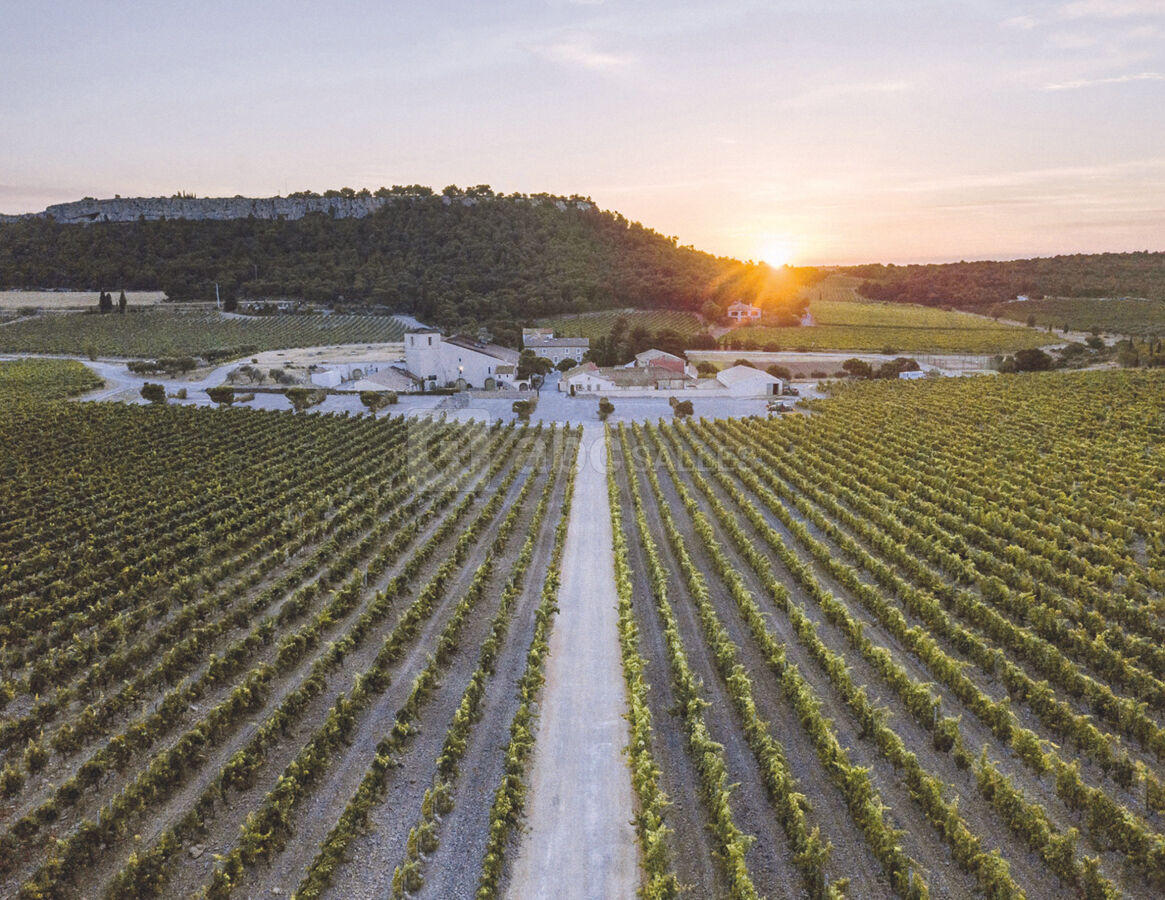 Château l'Hospitalet Wine Resort Beach Spa 5*