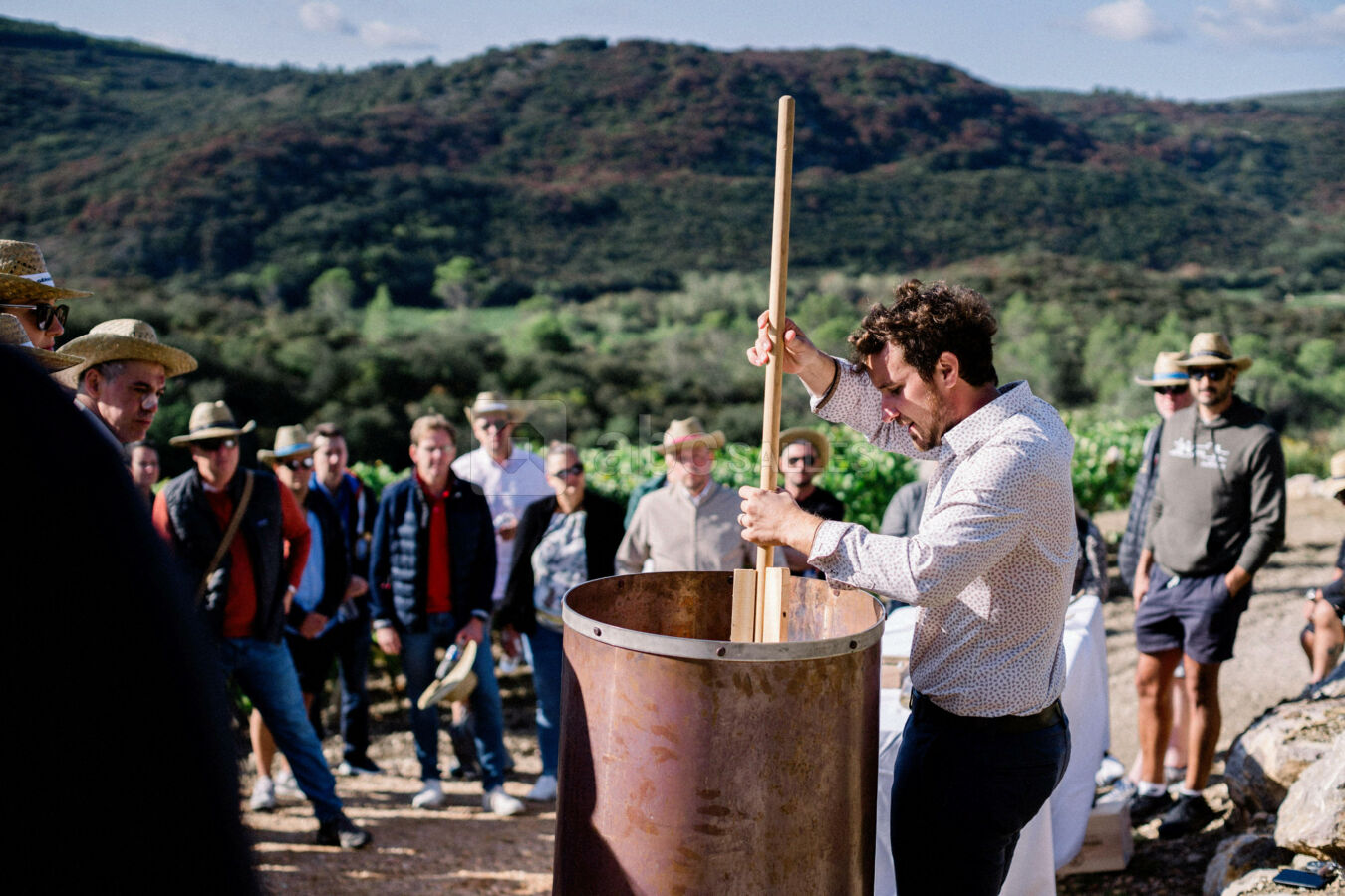Activité oenotouristique, visite du Clos du Temple