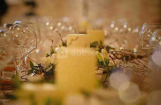 Château de Santenay