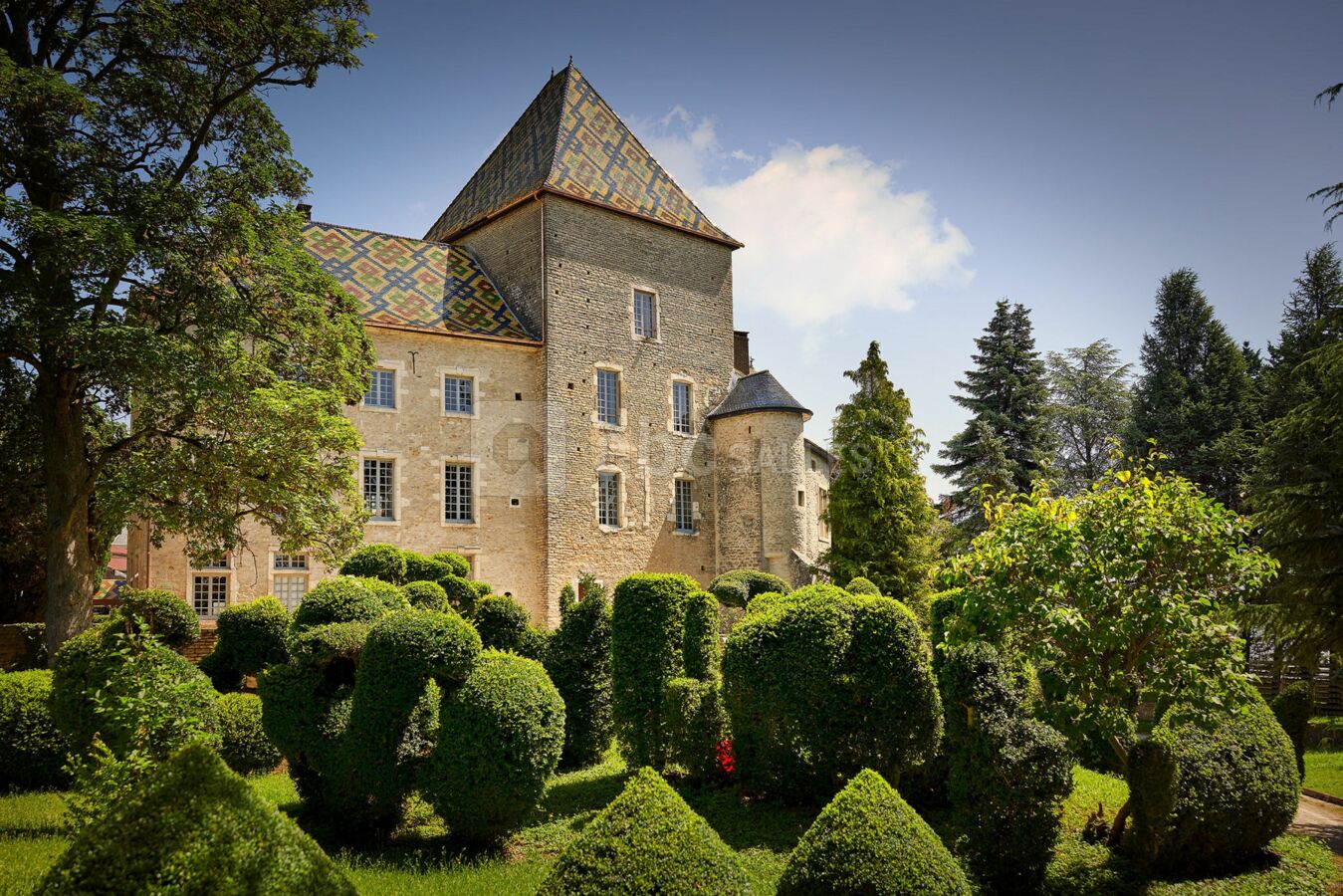 Château de Santenay