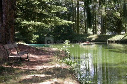 L' etang