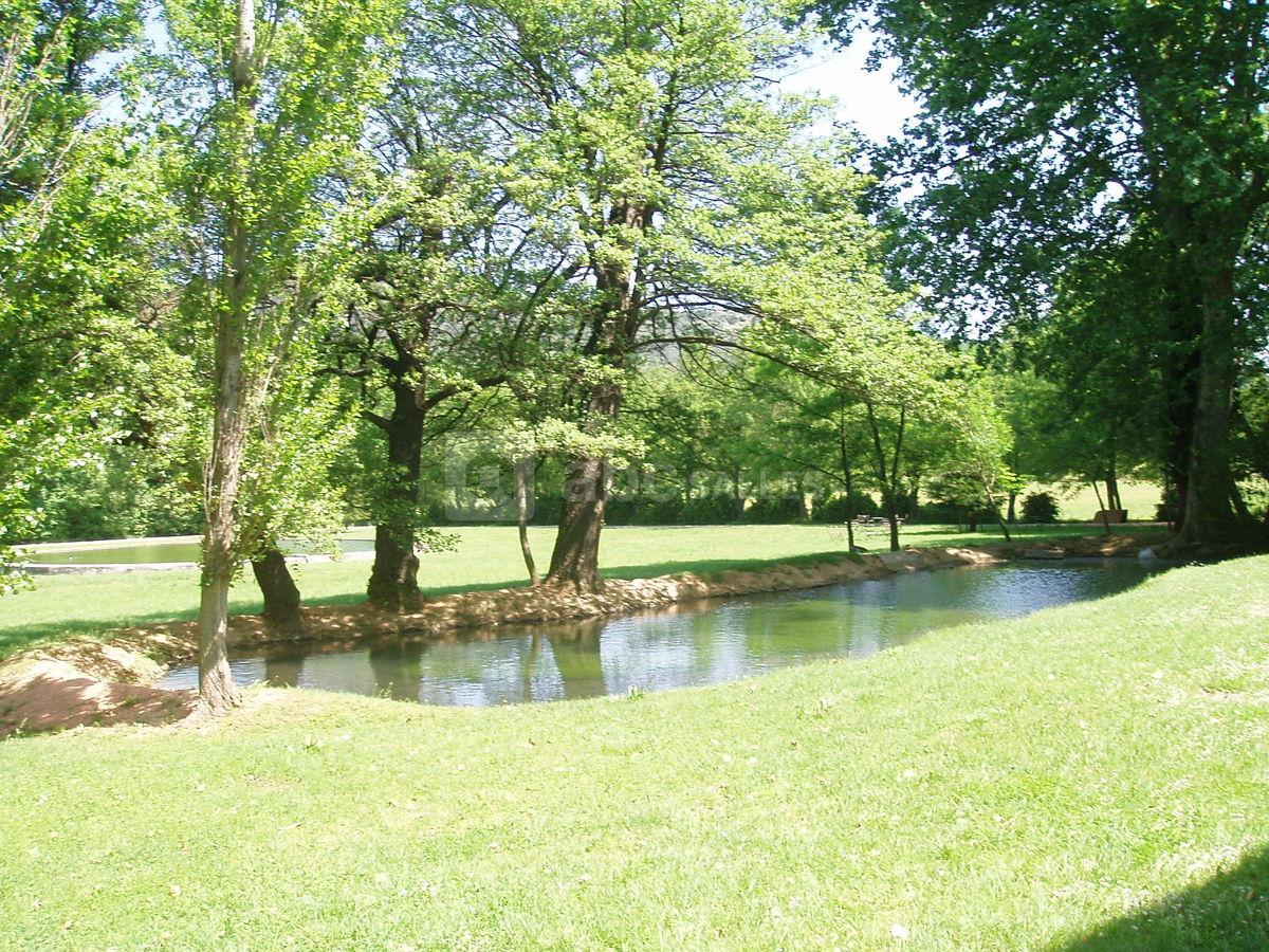 Jardin et petit étang