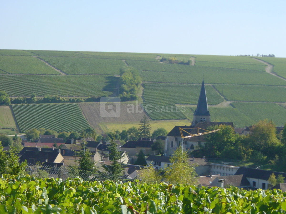 Vignoble